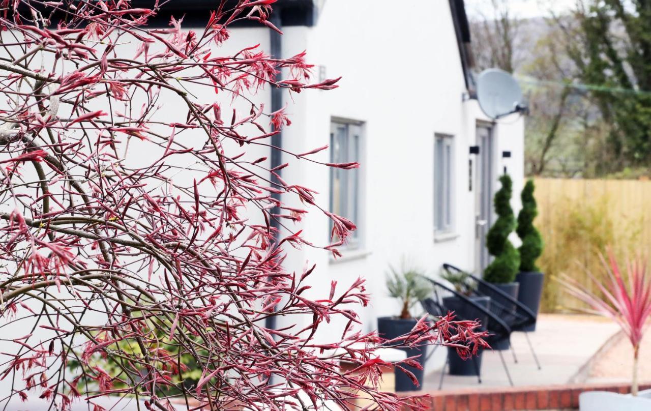 Pen-Y-Worlod Cottages Abergavenny Extérieur photo